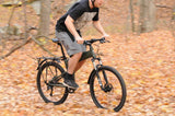 MONTAGUE Paratrooper Folding Mountain Bike with RackStand